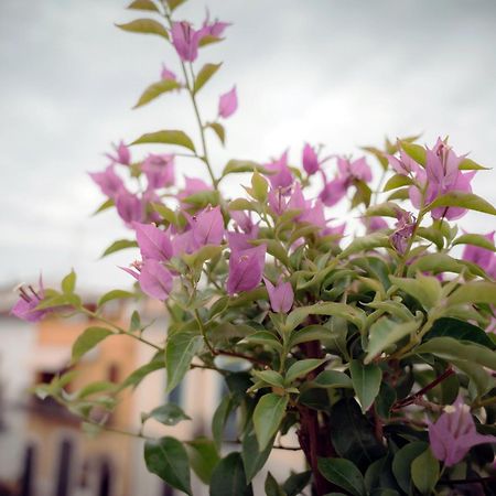 La Terrazza Dei Gemelli - Casa Vacanze 韦诺萨 外观 照片